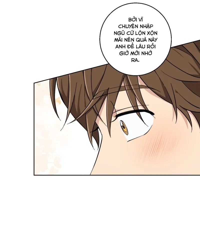 hãy bảo vệ tình yêu thuần khiết! chapter 6 12