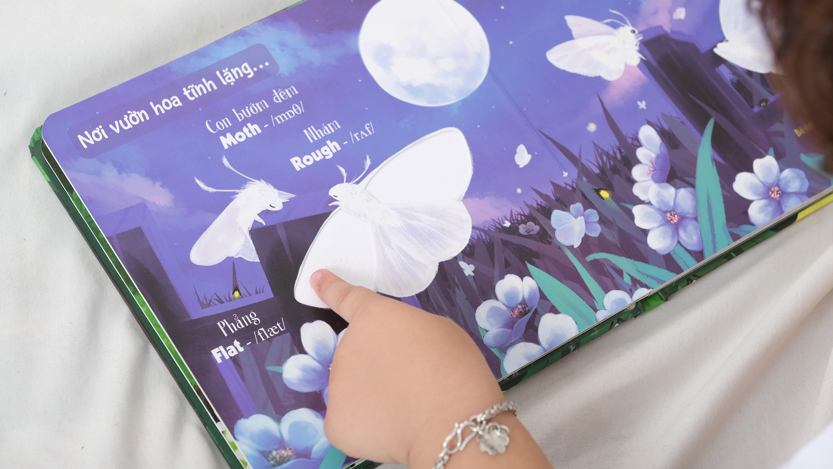 Bộ Sách Touch And Feel - Sách Sờ Chạm Khám Phá