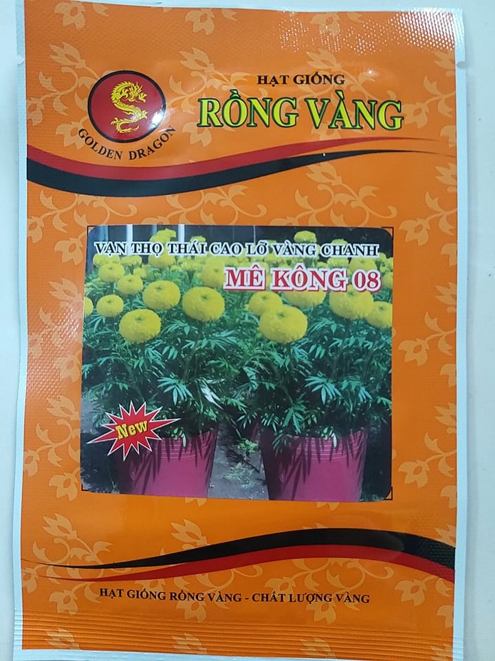 Hạt Giống Vạn Thọ Thái Cao Lỡ Vàng Chanh Rồng Vàng Mekong 08