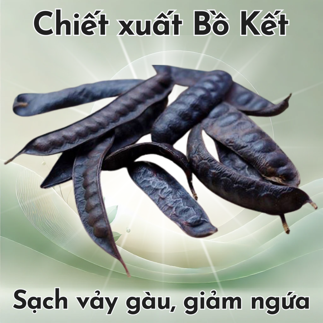 Sữa tắm FAY Bồ Kết 300ml