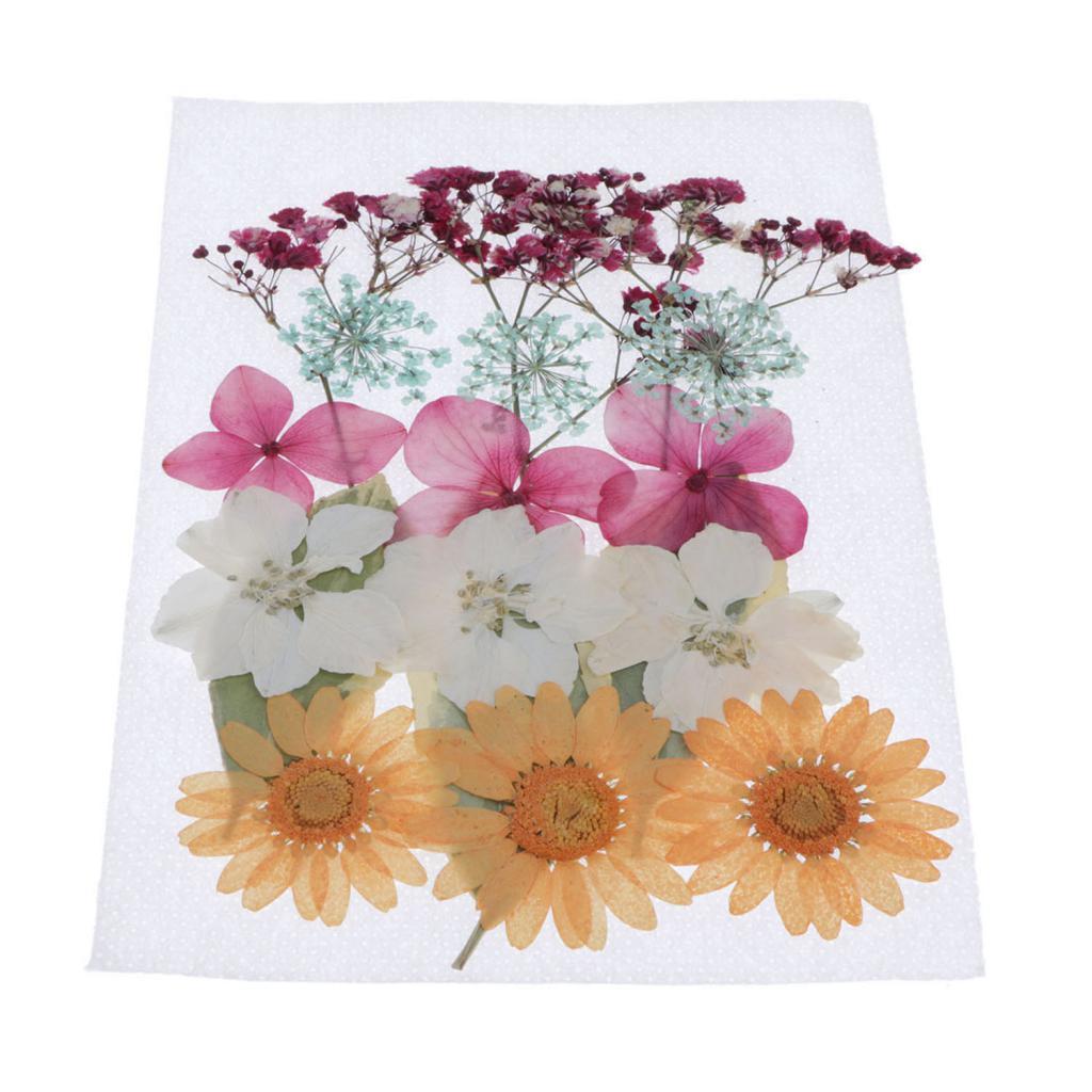 1 Bag Of Real Dried Pressed Flowers Leaves Assorted Colors for Making Greeting Card and Crafts, 2 - 3cm