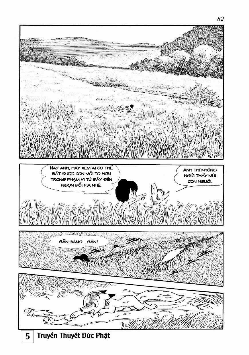 buddha - truyền thuyết đức phật chapter 24 36