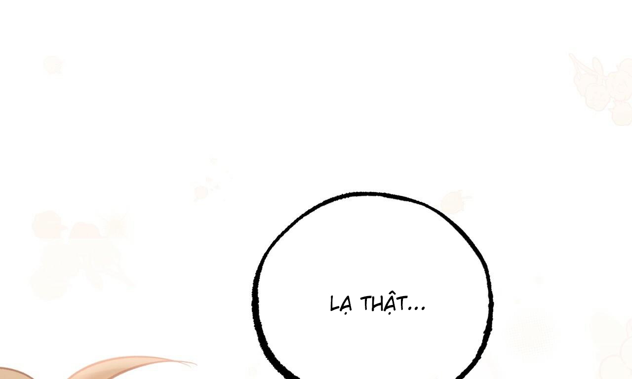 đàn thỏ của habibi chapter 53 196