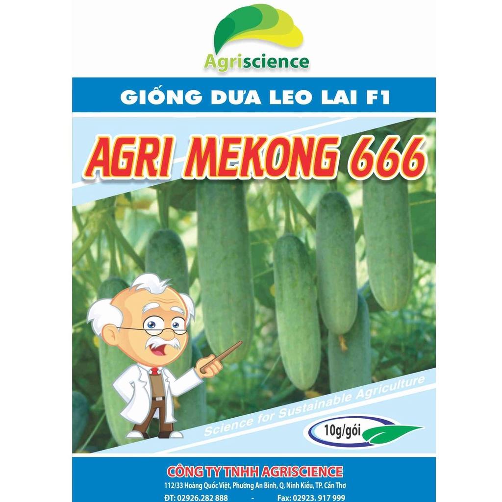 Hạt Giống Dưa Leo AGRI MEKONG 666 - (10gr/gói 400 hạt )