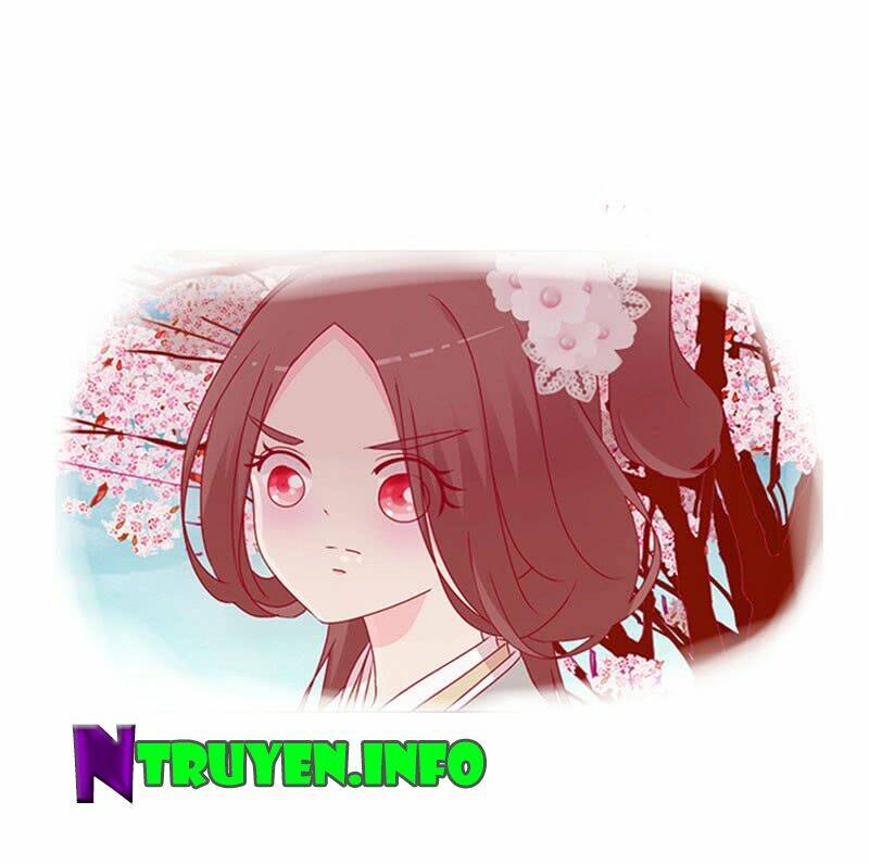 tướng quân mời ra trận chapter 36 8