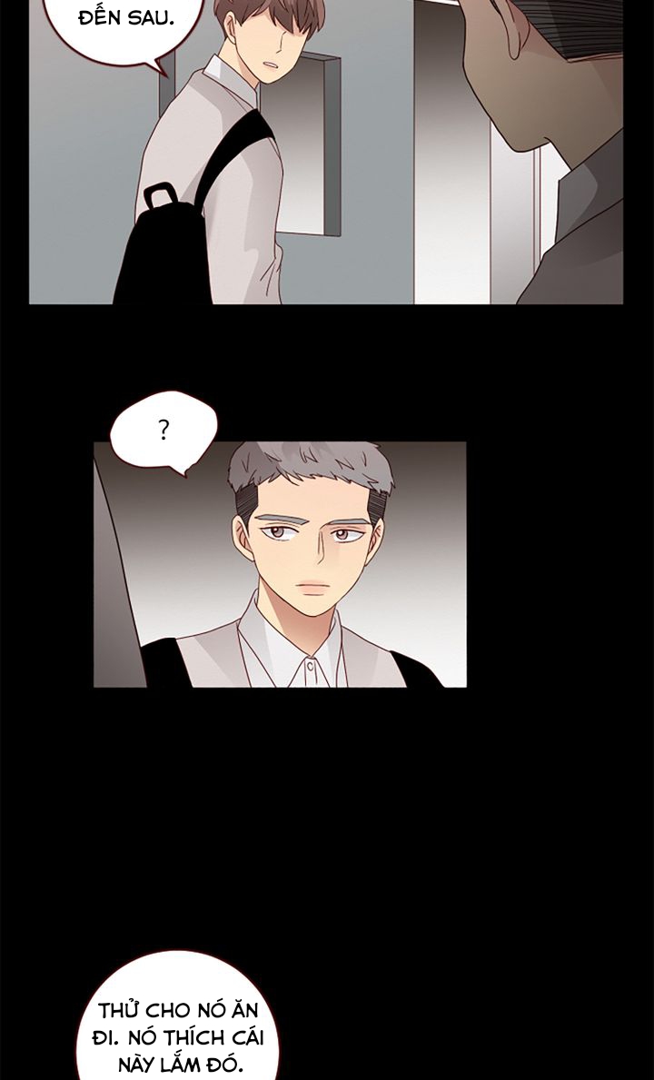 crush của tôi chapter 53 42