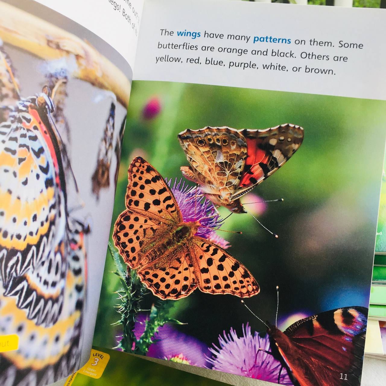 The Life of the Butterfly - Leveled Reader with Downloadable Audio Free - Sách chuẩn nhập khẩu từ NXB Compass