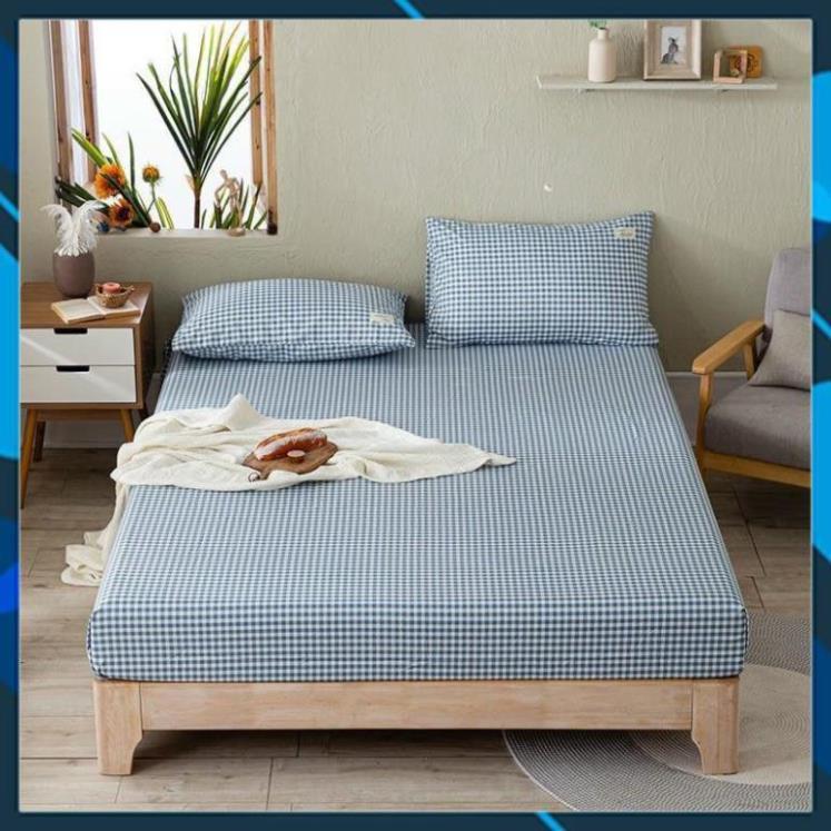 Bộ ga giường và vỏ gối cotton tici kẻ - set ga gối cotton - drap giường