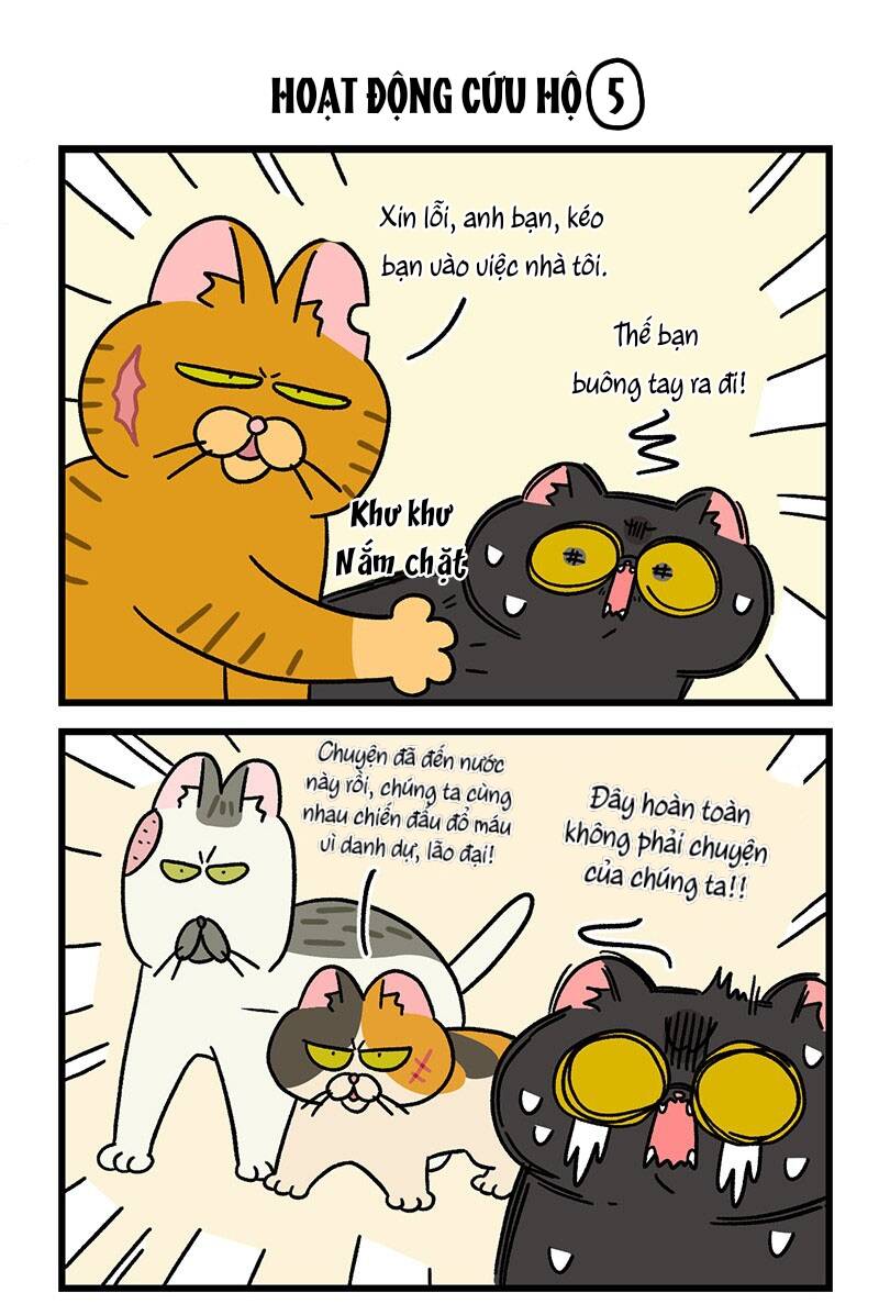 a mãn và mạch trà chapter 44.1 5