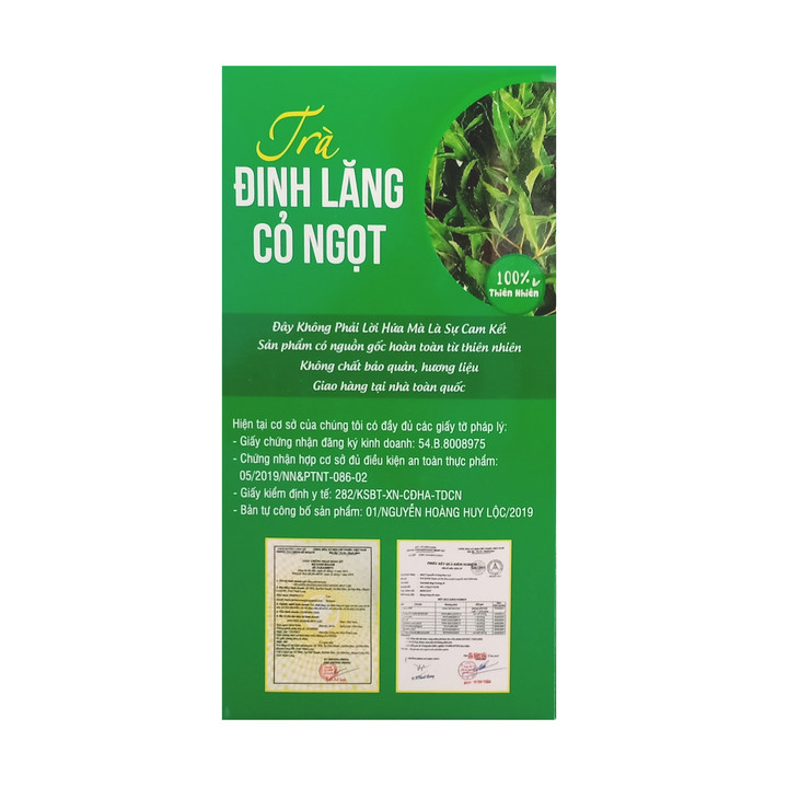 Combo 02 hộp Trà Đinh lăng Cỏ ngọt Trường Ái (50 túi lọc) - Giúp ăn ngon, ngủ ngon, kéo dài tuổi thọ