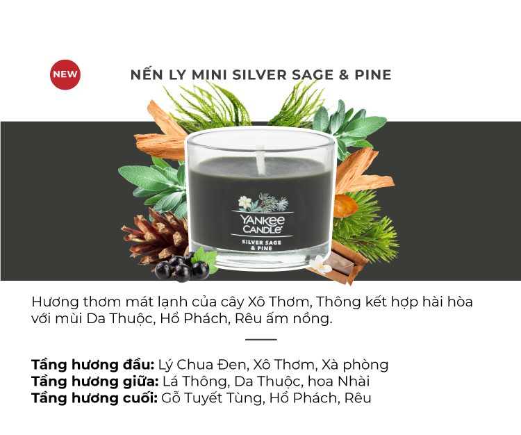 Nến ly mini Yankee Candle (37g) - Silver Sage &amp; Pine