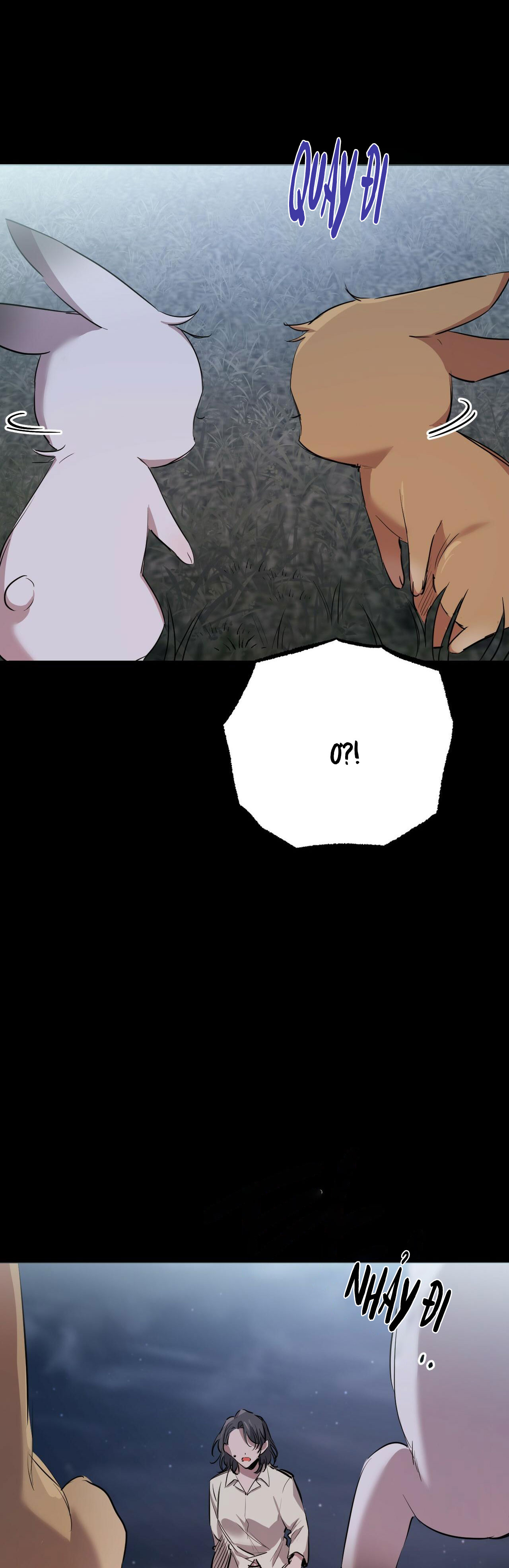 những chú thỏ của hapypy chapter 31 55