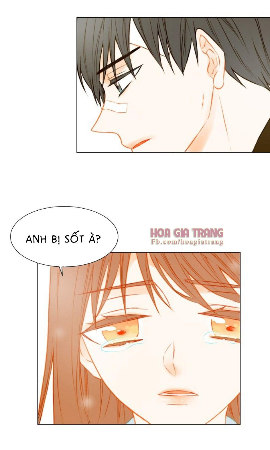 sao chép chapter 42 8