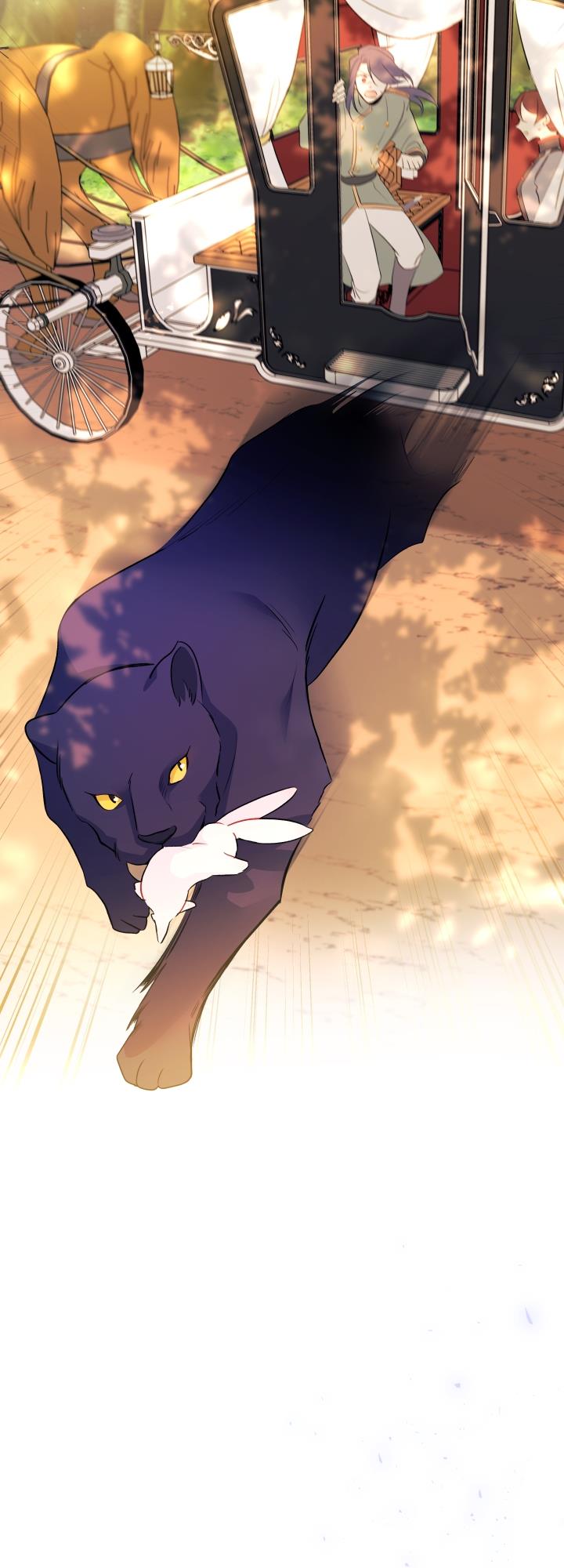 mối liên kết giữa báo đen và bé thỏ chapter 27 57