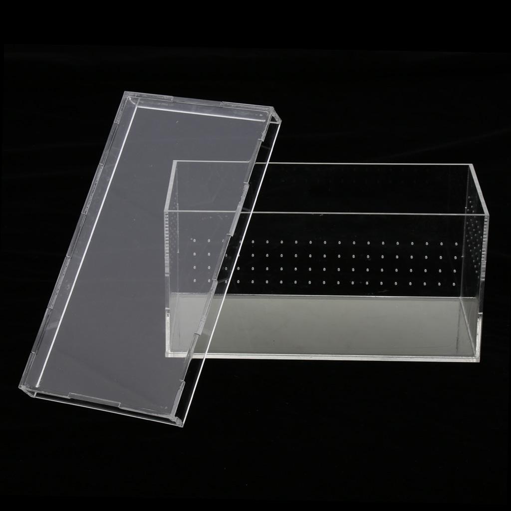Reptile Tank Insect Spiders Tortoise Acrylic Breeding Box Vivarium Pet Product