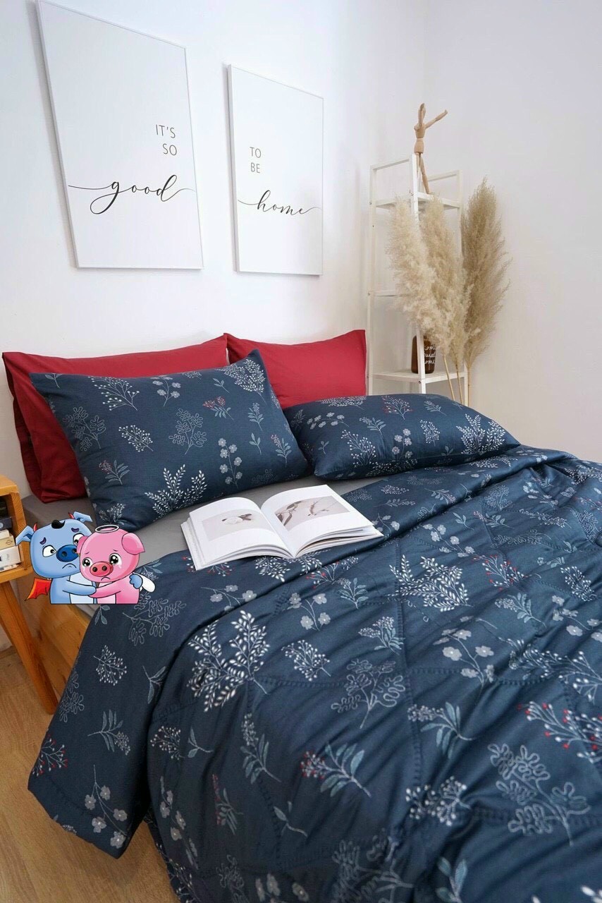 Bộ Ga Gối Vải Cotton Hàn Quốc 4 Món Nệm 20 CM