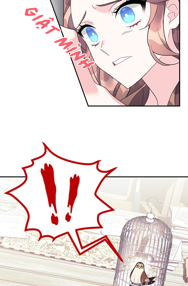 công chúa của loài chim chapter 22 25