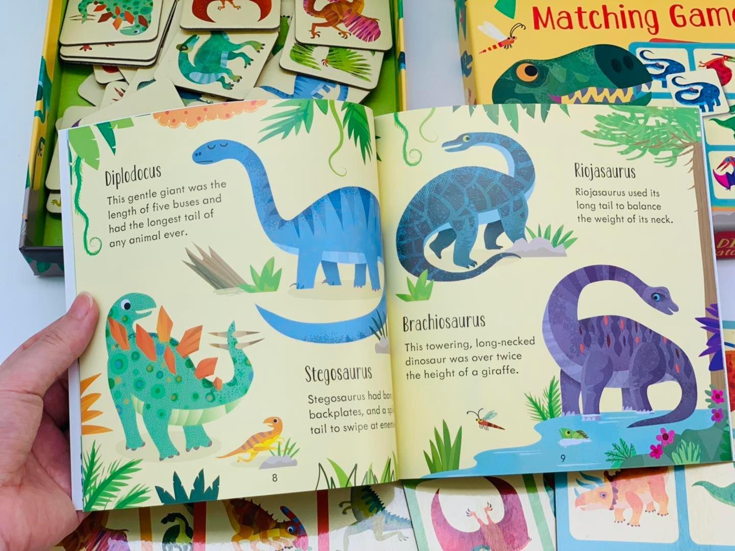 Dinosaur Matching Games