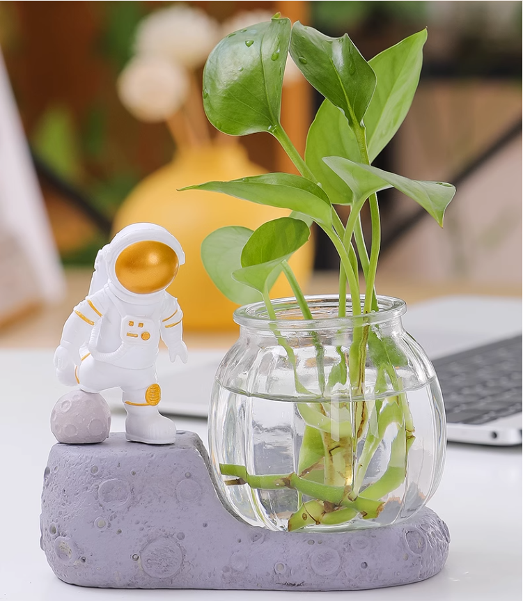 Trang trí thủy canh phi hành gia sáng tạo hàng có sẵn