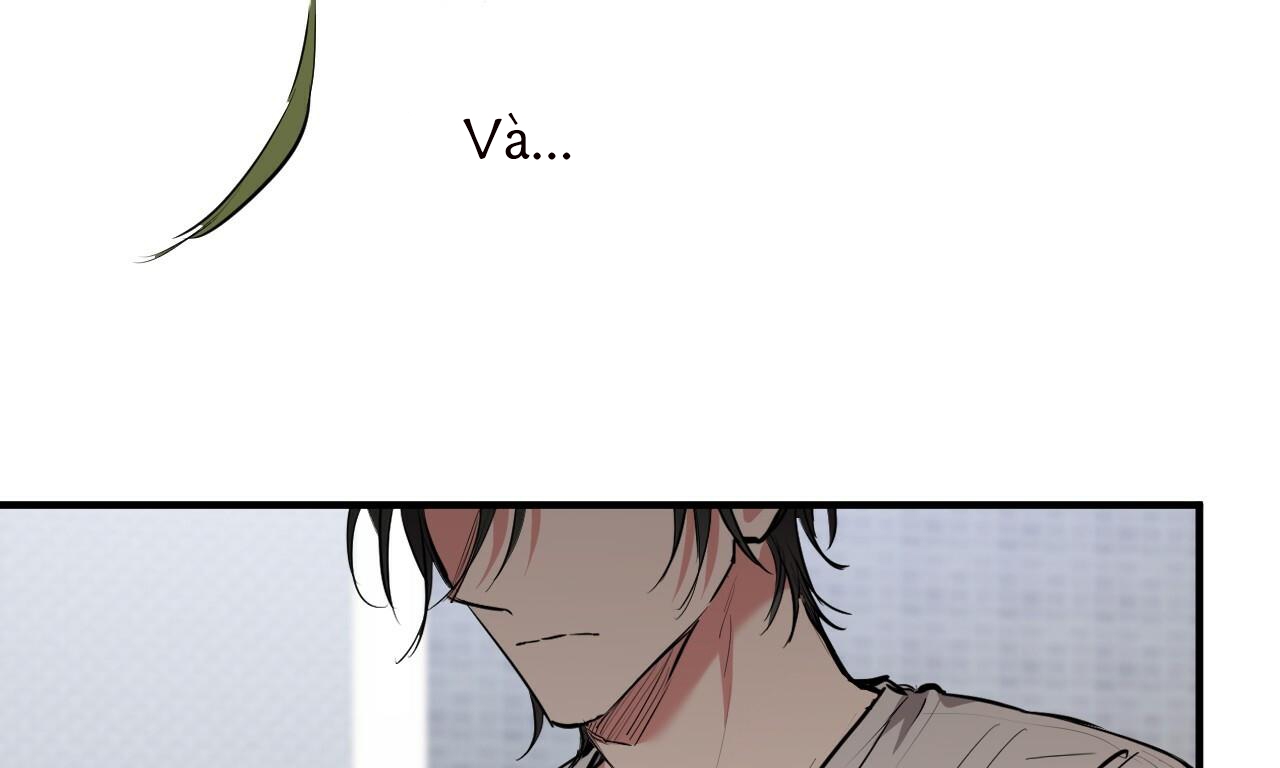 đàn thỏ của habibi chapter 39 16