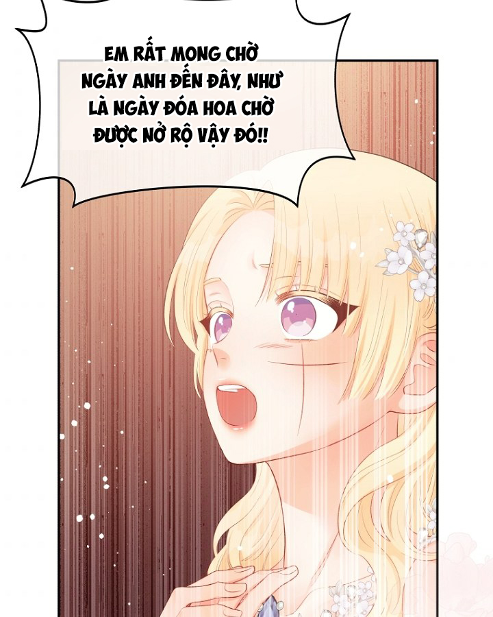 đừng đặt tình cảm mình vào cuốn sách đó chapter 15 45