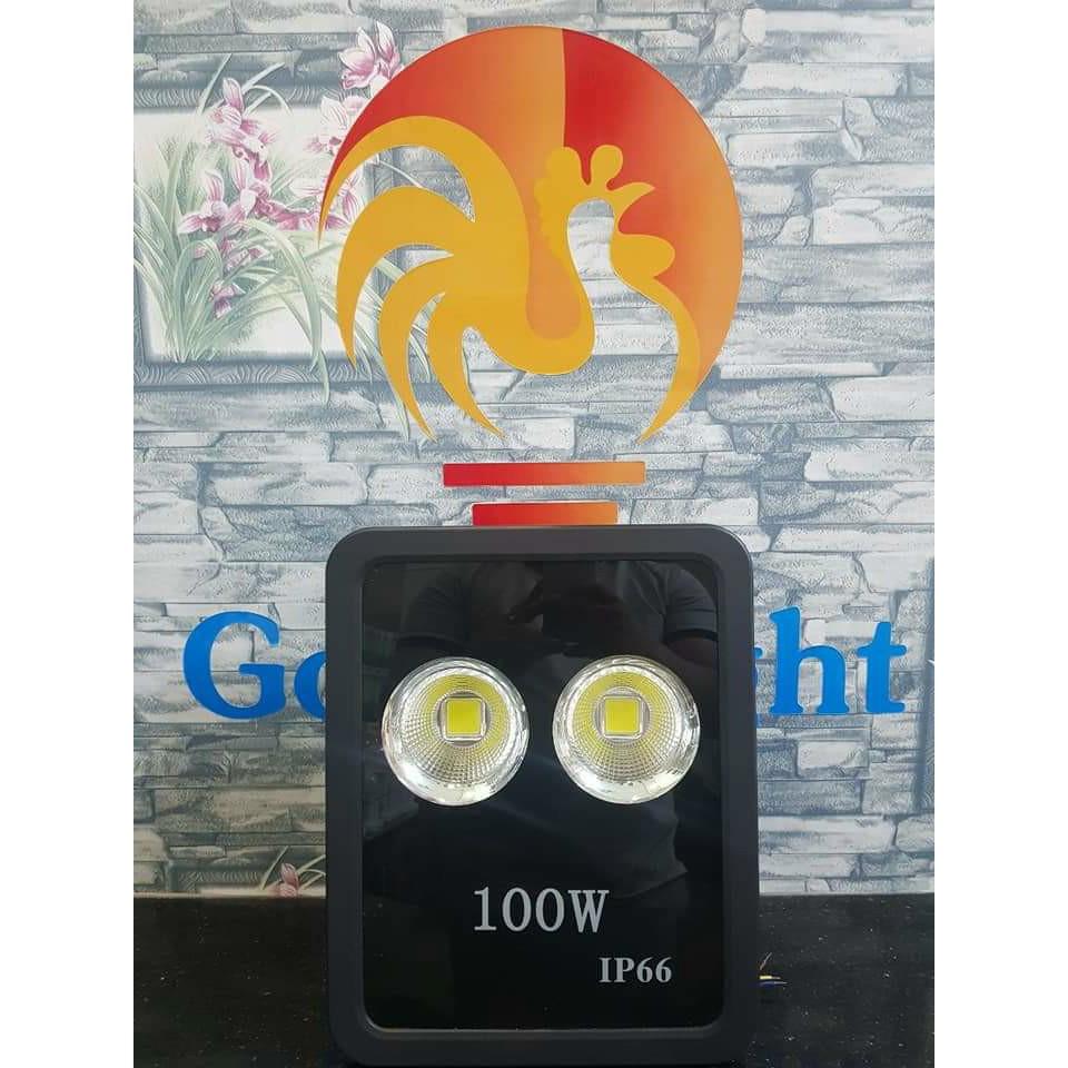 Đèn pha ly 300w cao cấp Goodlight
