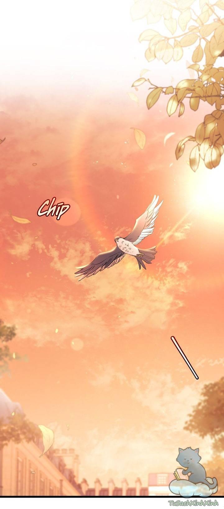 quan hệ cộng sinh giữa báo đen và thỏ trắng chapter 44 13