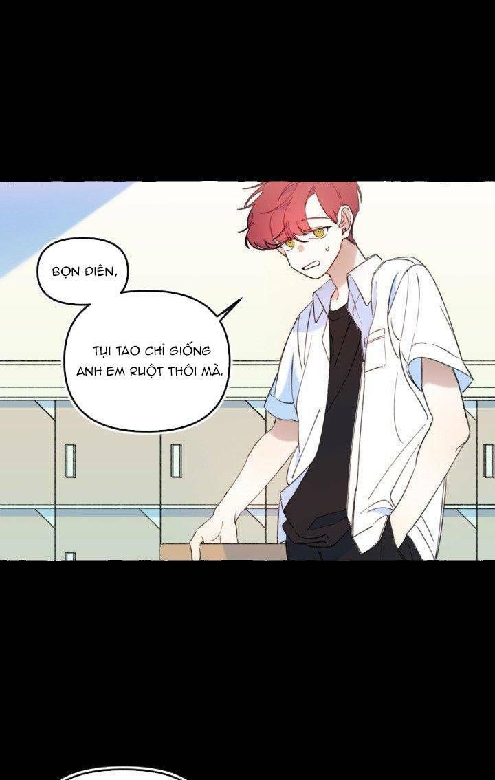 lời yêu thì cần app để dịch không? chapter 11 16