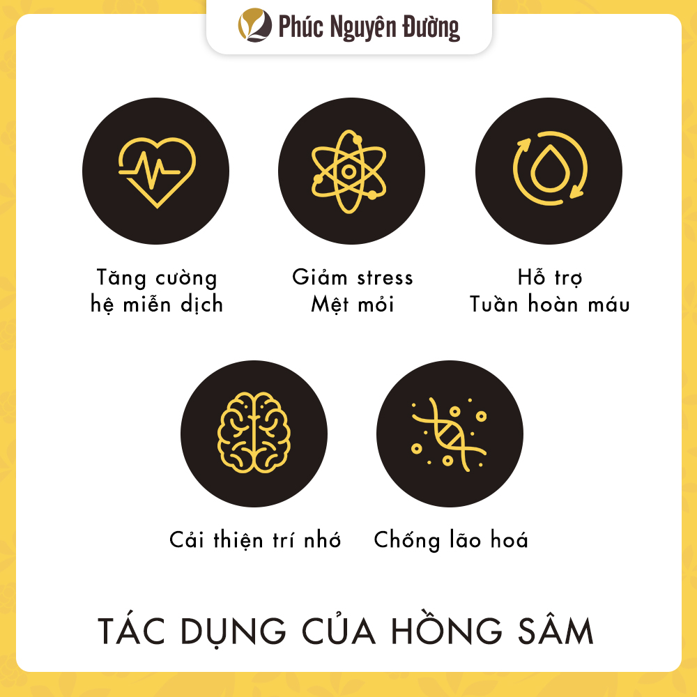 Thực Phẩm Bảo Vệ Sức Khỏe: Hồng Sâm Lát Tẩm Mật Ong - Honeyed Korean Red Ginseng Slices