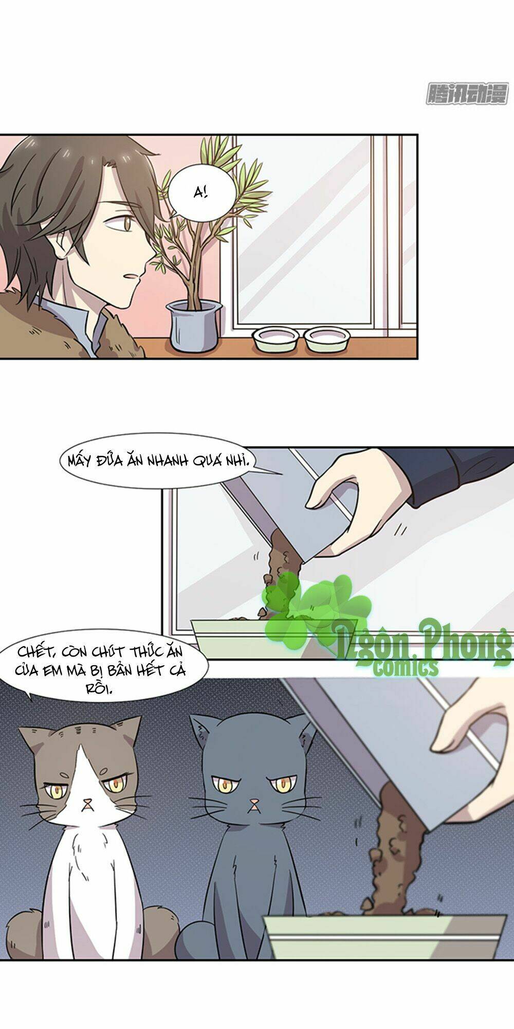 hai chú mèo totem chapter 28 6