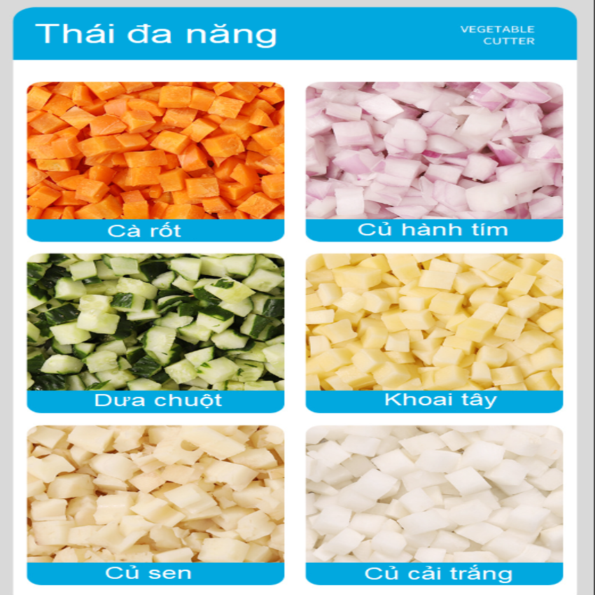 Máy thái rau củ quả đa năng chuyên nghiệp thương hiệu Septree ANS-A5, công suất 600W - Hàng Chính Hãng