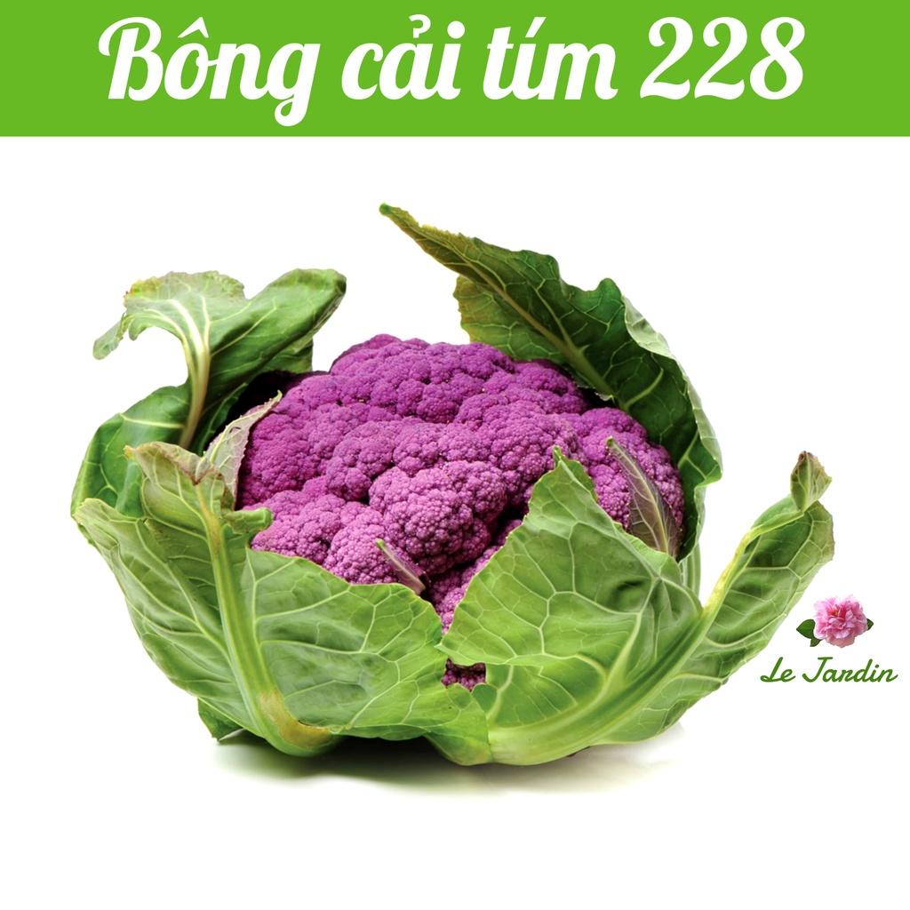 Hạt giống bông cải tím 228 gói 1gr