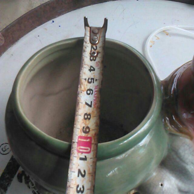 Chậu trồng cây