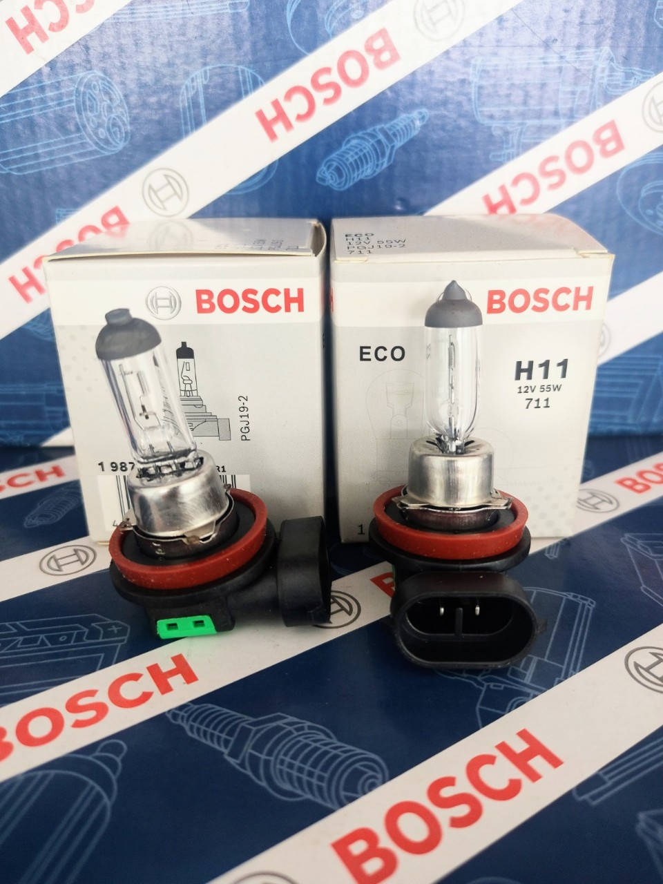 Bóng Đèn Bosch H11 12V 55W