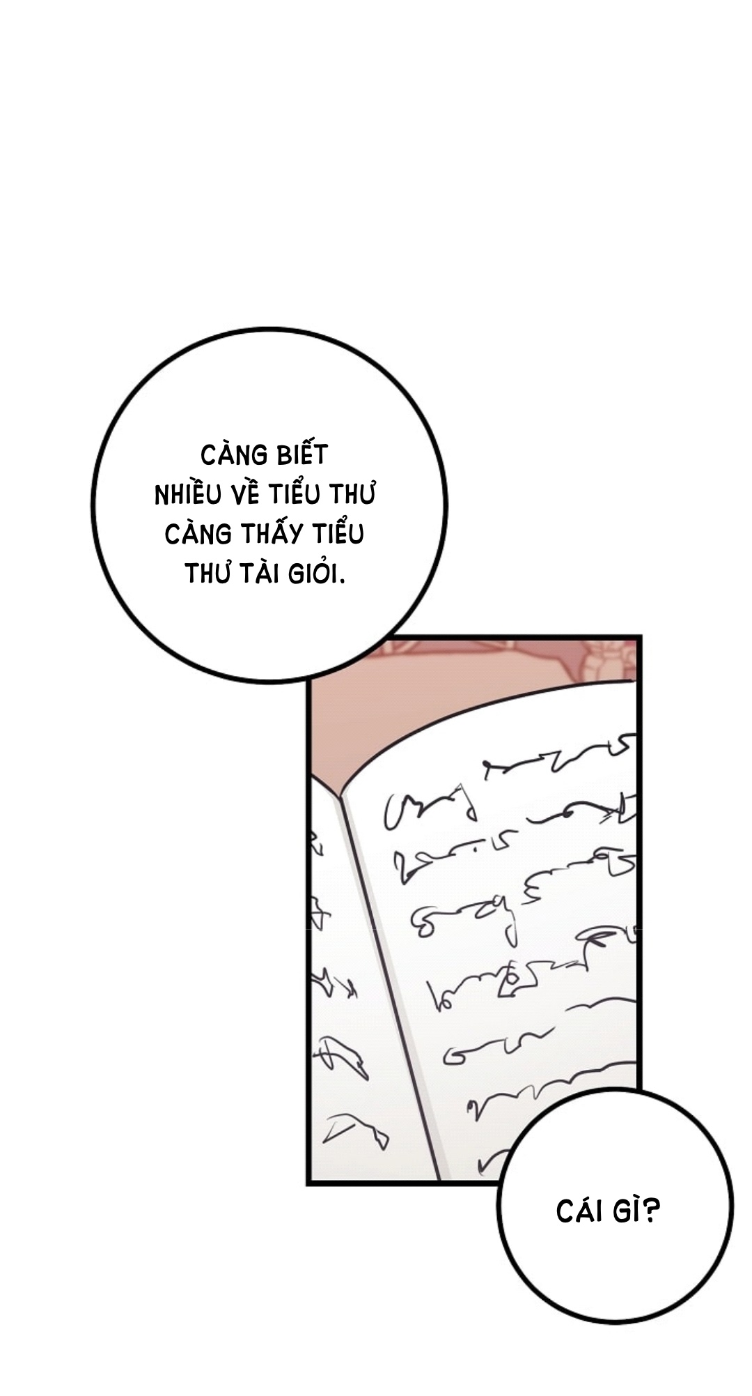 tôi là tiểu thư của gia đình này chapter 22 3