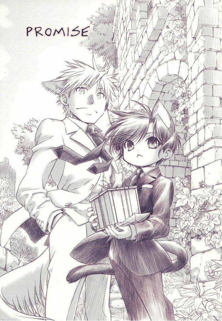 maiden rose-special chapter 10 2