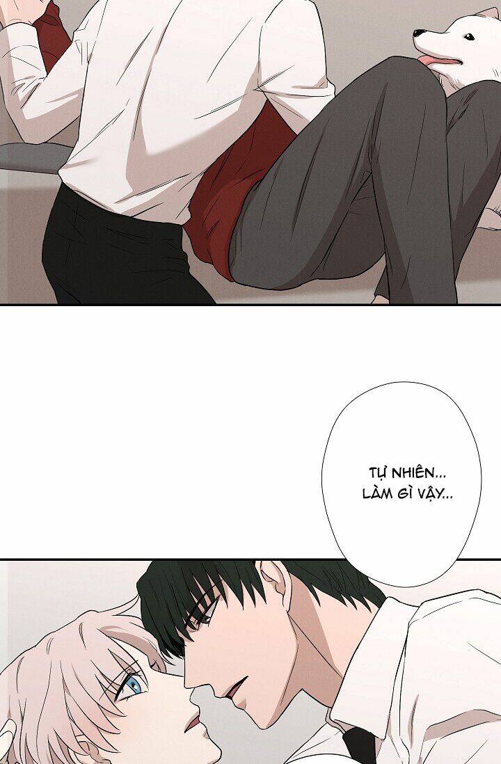 trốn tìm chapter 23 24