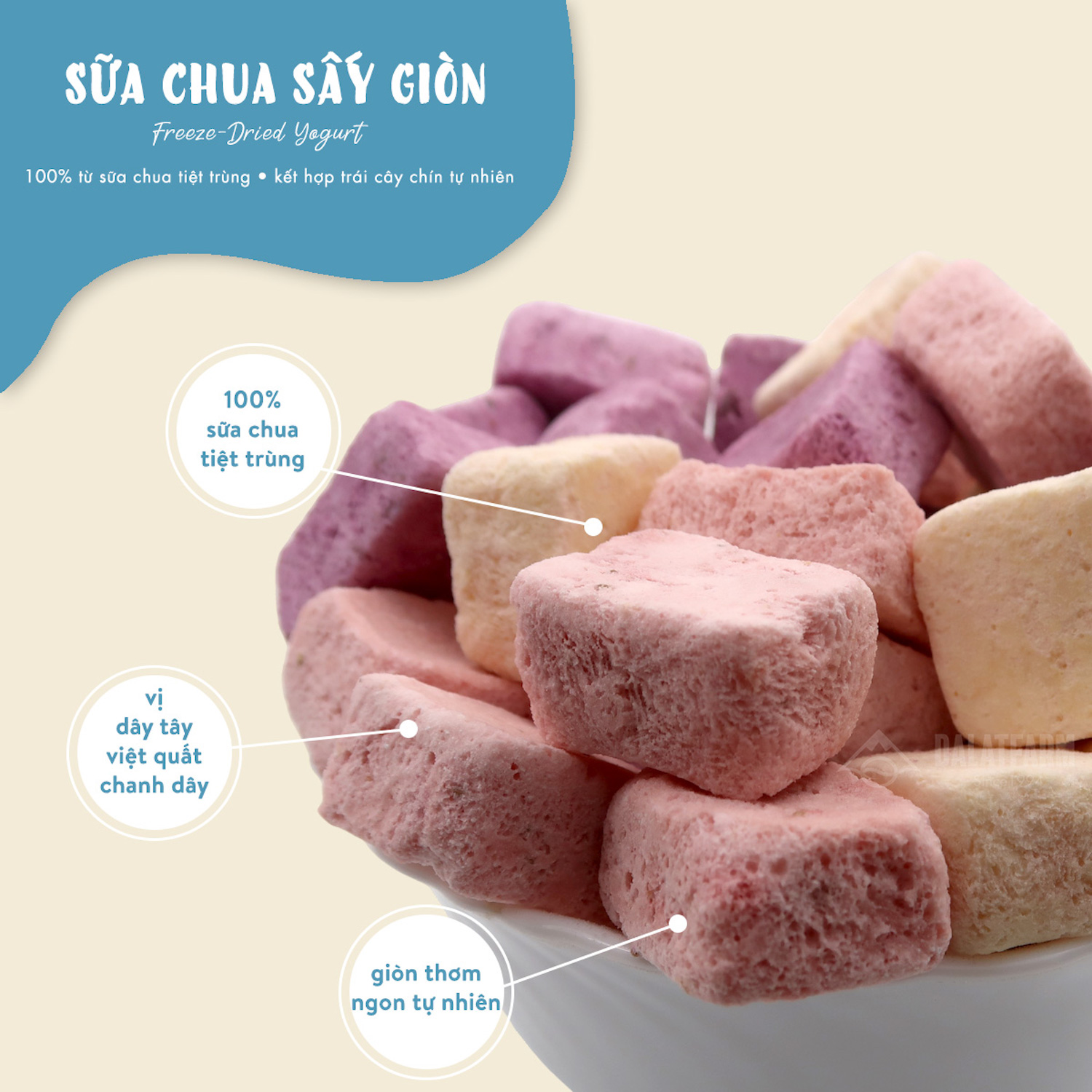 Sữa Chua Sấy Giòn DalatFarm - Túi 80g