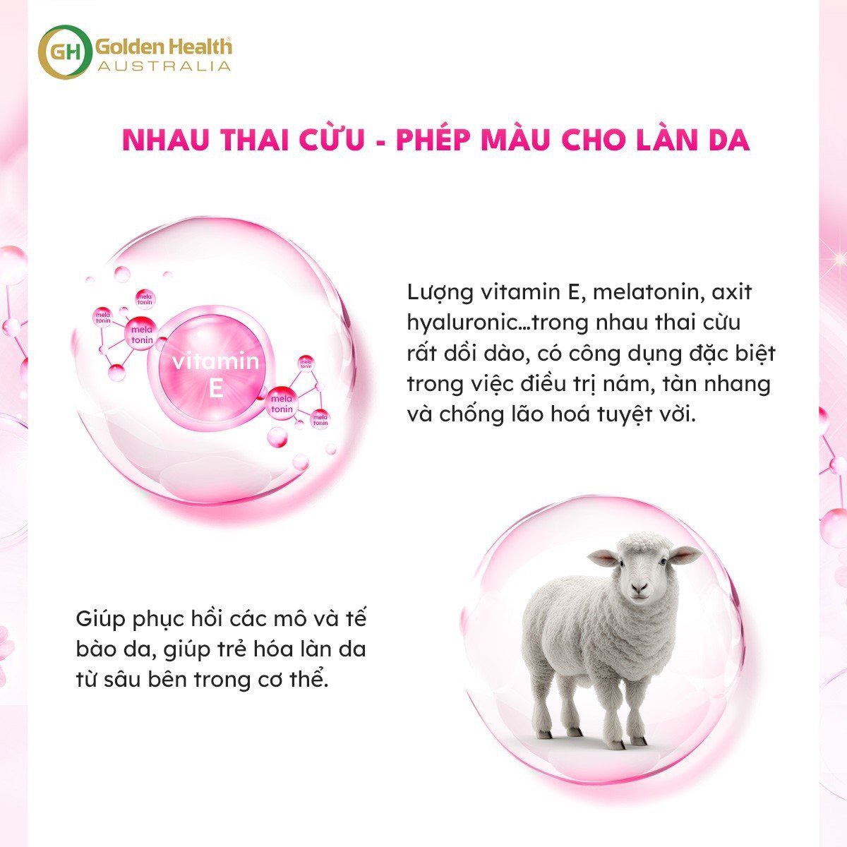 Kem Dưỡng Trắng Da Nhau Thai Cừu Chống Nhăn, Giúp Làm Mờ Vết Thâm Nám, Dưỡng Ẩm Da Luôn Căng Bóng, Mịn Màng, Thúc Đẩy Tái Tạo Tế Bào Mới Golden Health Vitamin E Essence Oil 100g - Nhập Khẩu Chính Ngạch Từ Úc - PHỤNG BEAUTY