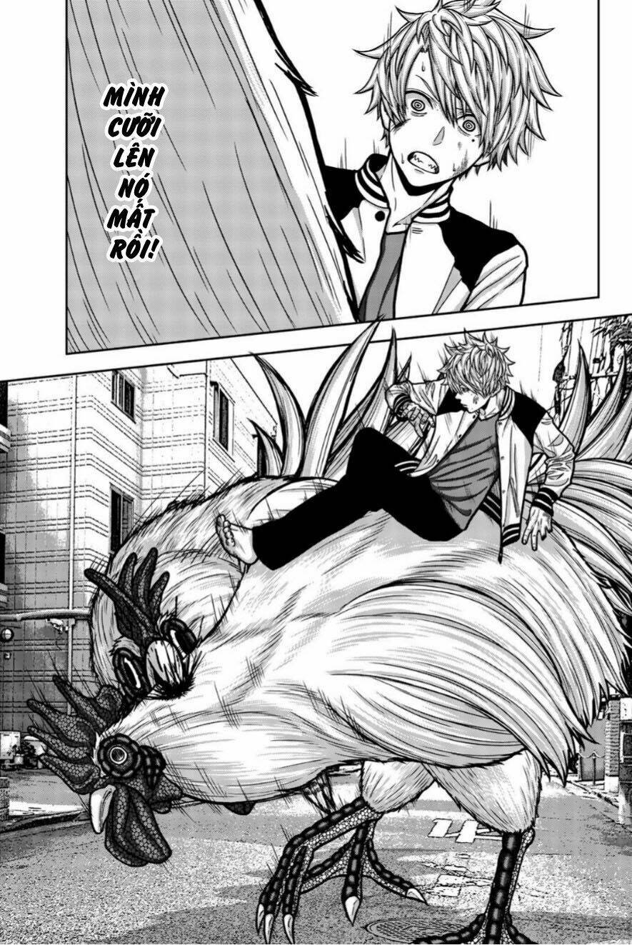 tiếng gáy sát thủ chapter 15 3