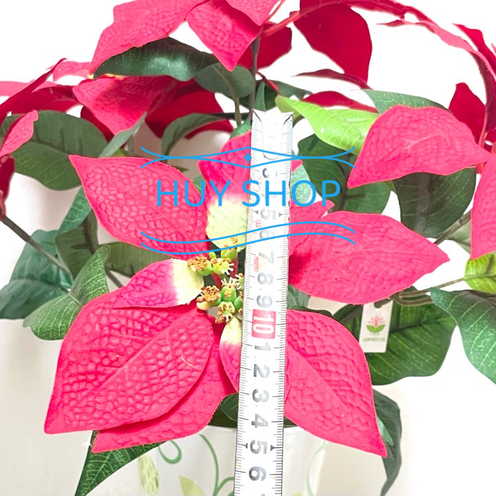 BỤI HOA TRẠNG NGUYÊN VẢI NHUNG CAO CẤP 6 NHÁNH