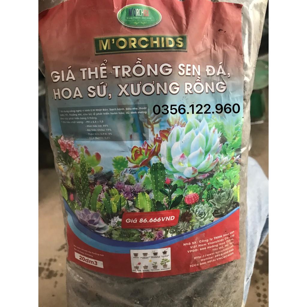 Giá thể đất trồng xương rồng, sen đá loại 1 túi 1,8kg - 20dm3