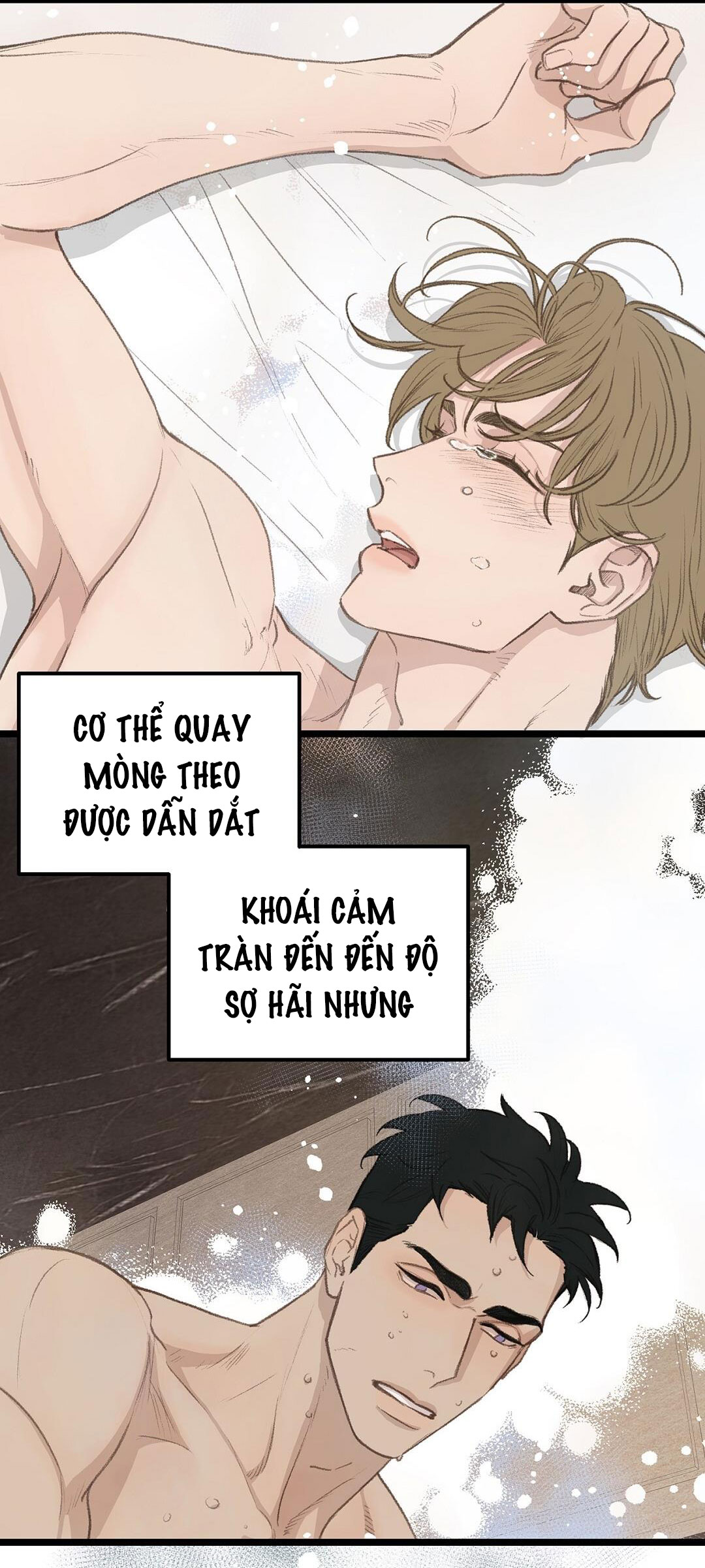 vùng cấm tình yêu của beta chapter 46 56