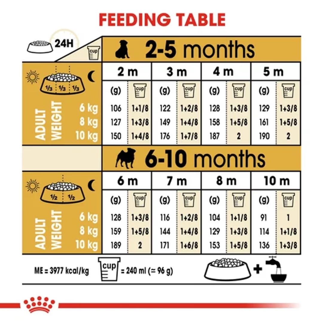 Hạt Khô Dành Cho Chó Pug Từ 2-12 Tháng Tuổi: Royal Canin Pug Puppy