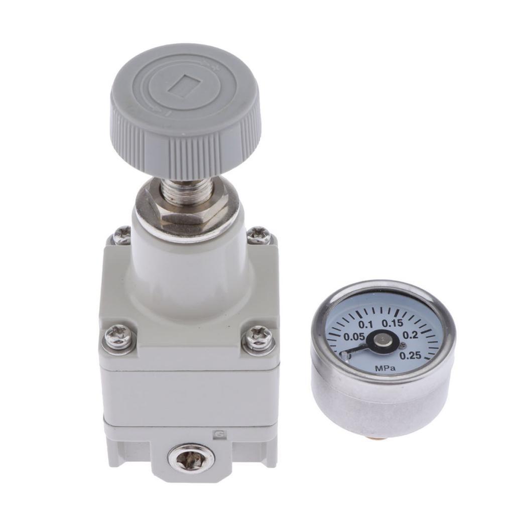 IR1000-01 1/8" Precision Air Pressure Regulating Relief Valve with Gauge