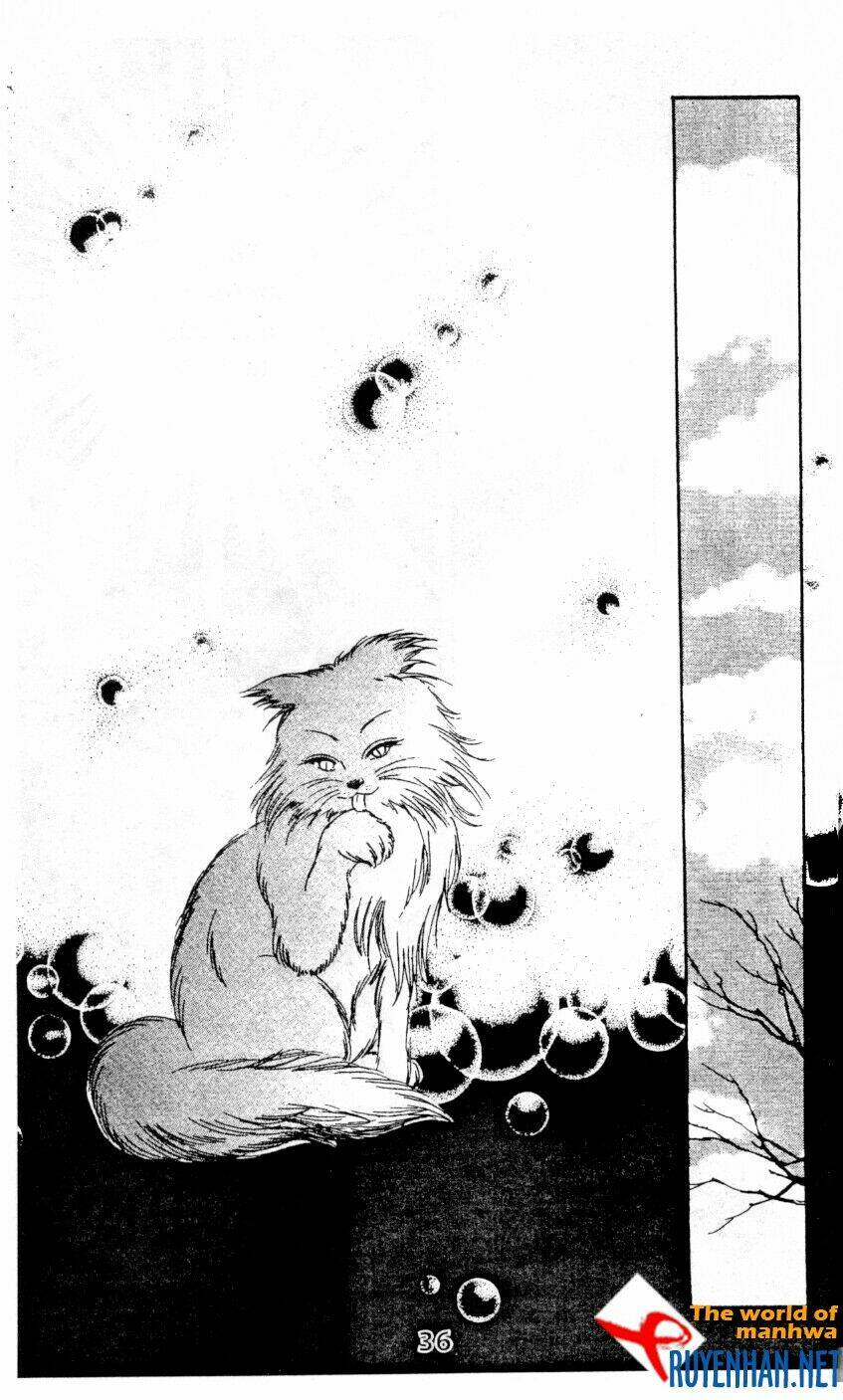 chàng trai hào hiệp chapter 12 38