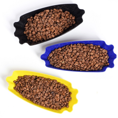 Khay nhựa trưng bày cà phê mẫu cupping V1