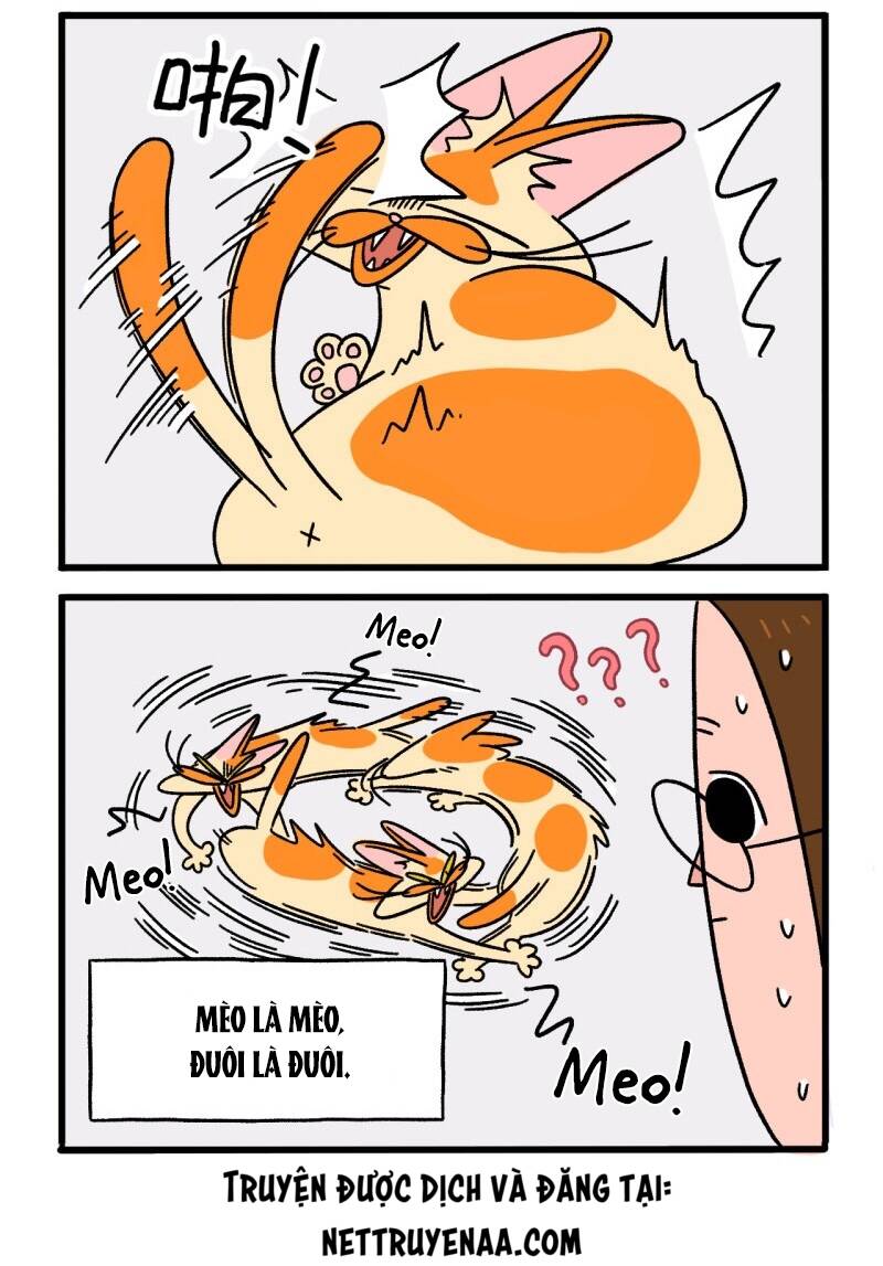 a mãn và mạch trà chapter 8 4