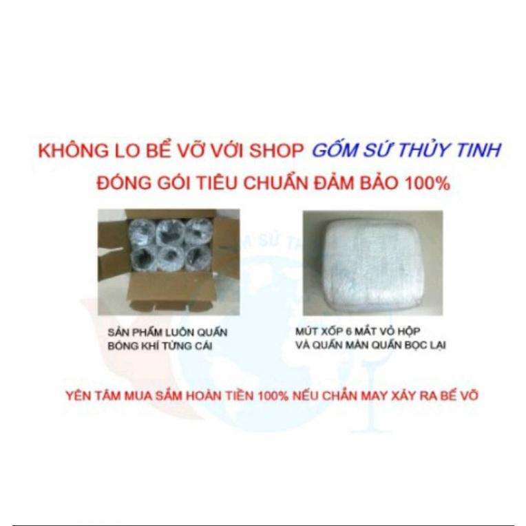 Bình thủy tinh 6 lít sâm chân mây &amp; [ có van ] *BAO BỂ VỠ