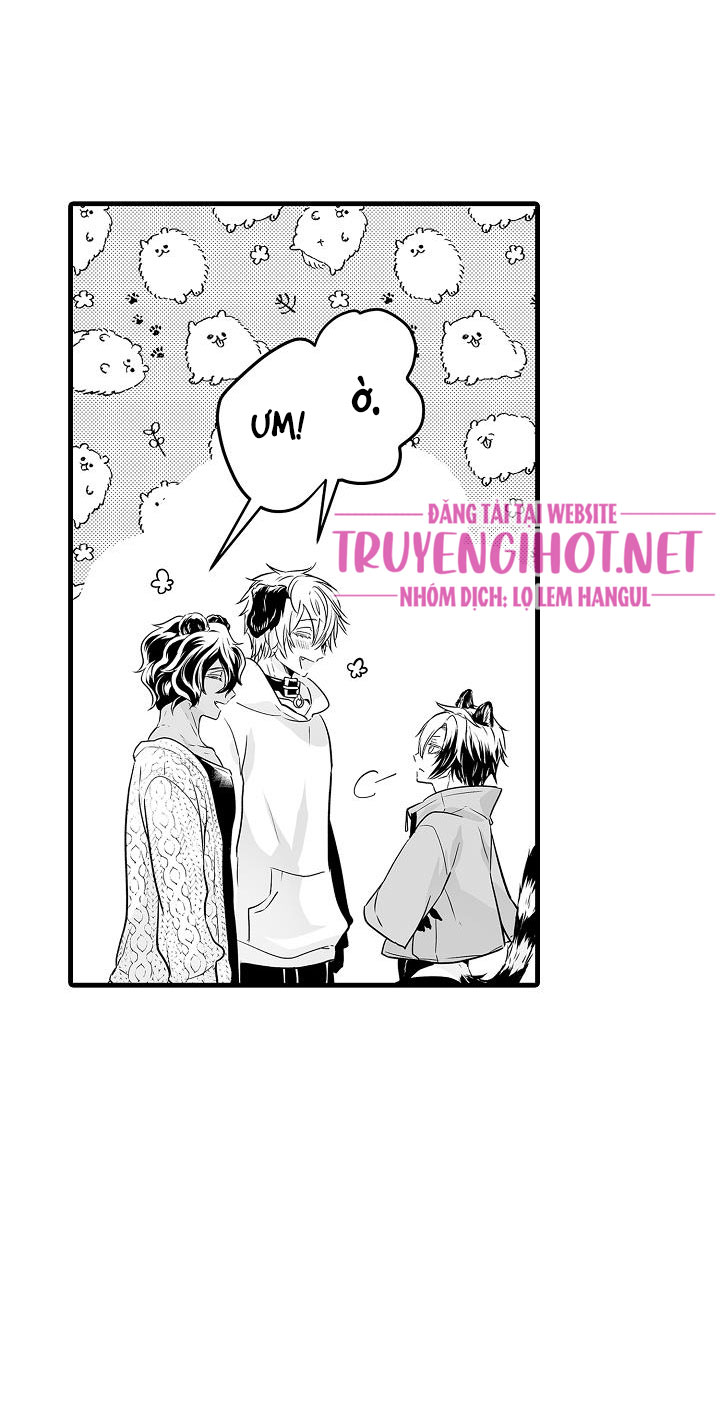 gấu ngủ đông chapter 9.3 2